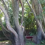 Apartament Ecrin De Nature Et Source D'arts Saulx-les-Champlon