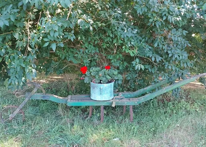 écrin De Nature Et Source D'arts Appartement *