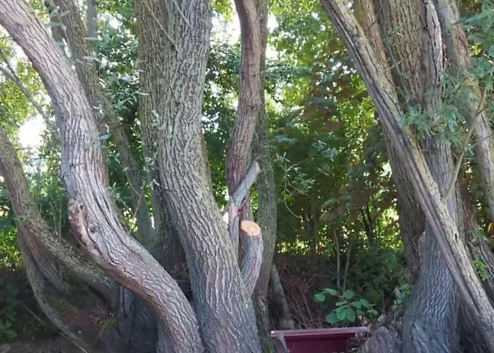 Appartement écrin De Nature Et Source D'arts Saulx-les-Champlon