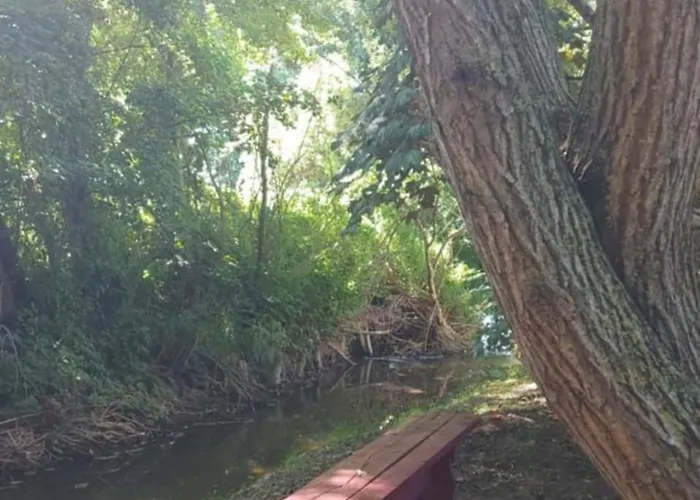 écrin De Nature Et Source D'arts Saulx-les-Champlon